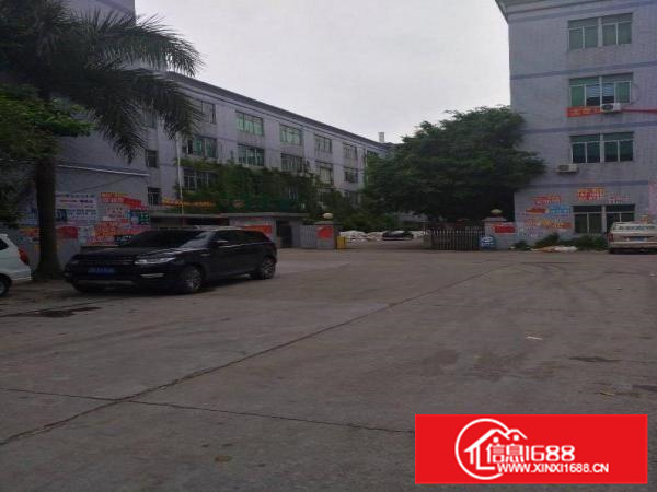 新圩高速路口标准楼房1600平方