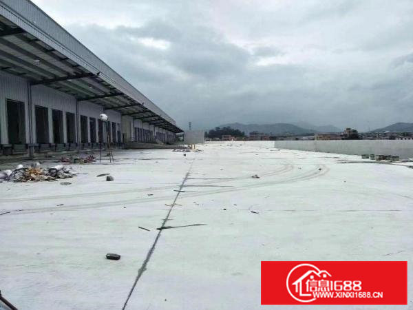 虎门新出41000平方现成物流园