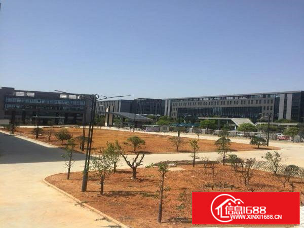 横沥汽车站附近厂房12000平米