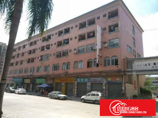 高埗镇独院标准厂房12000平大小可分租