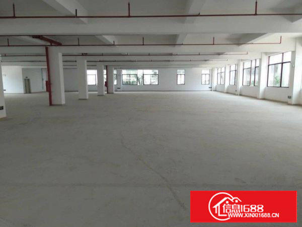 塘厦石鼓靓丽独院厂房7100平方现成装修、形象好