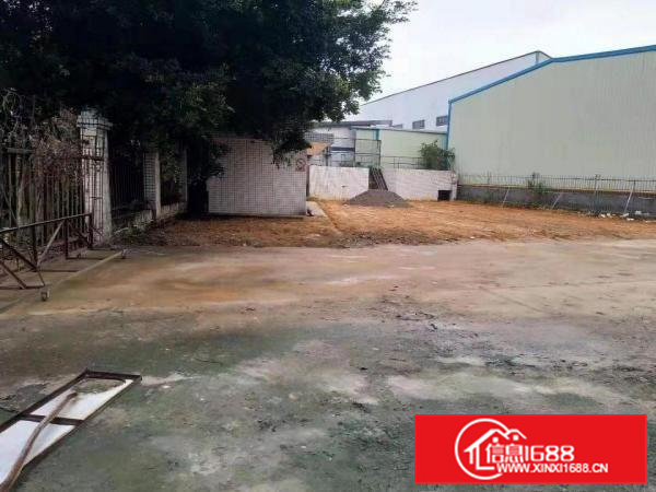 横沥镇山厦村四海新出一楼小面积300平方出租