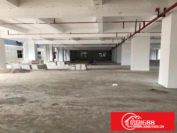 一楼商铺300平420平600平800平1500平