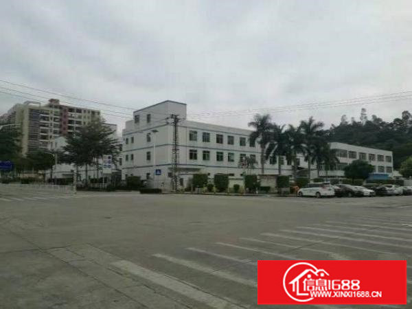 葵涌葵涌文化艺术中心旁厂房5300平米