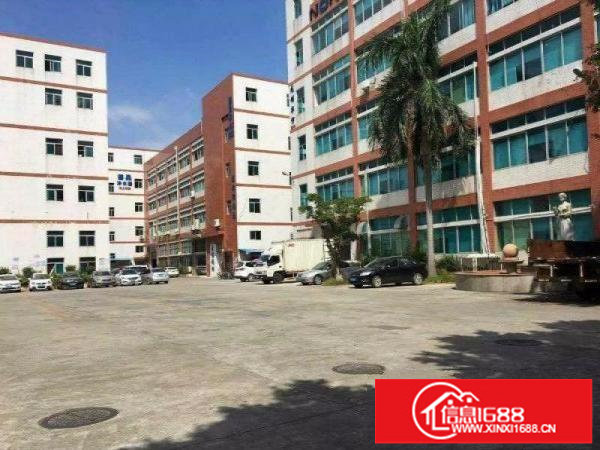 龙岗坪地独门独院厂房院子大适合做电子贸易研发