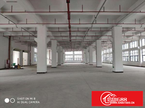 大朗新出工业区800平起租，带环评全新工业区厂房，高7米