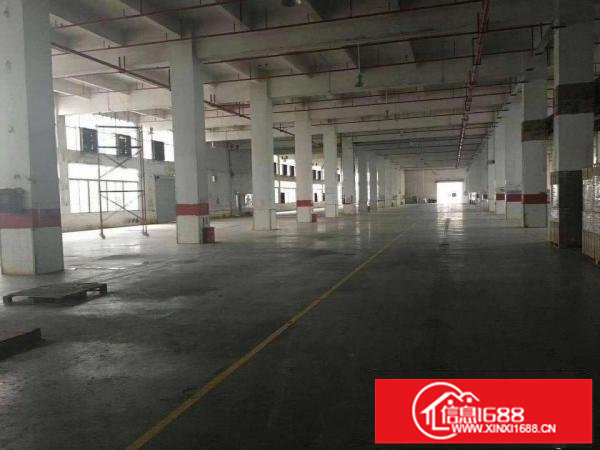坪山区大工业区新出8米一楼1750平出租（可分租）