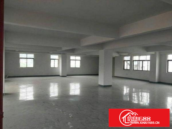 沙角新出一全新独栋厂房1000平方。可分租。