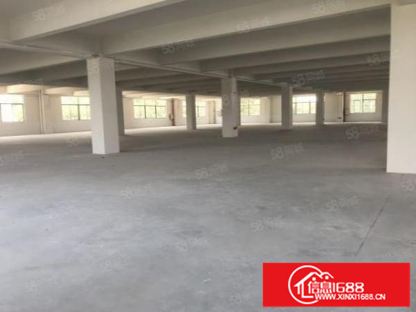 三水乐平全新标准楼层厂房，化妆品厂房，印刷厂出租