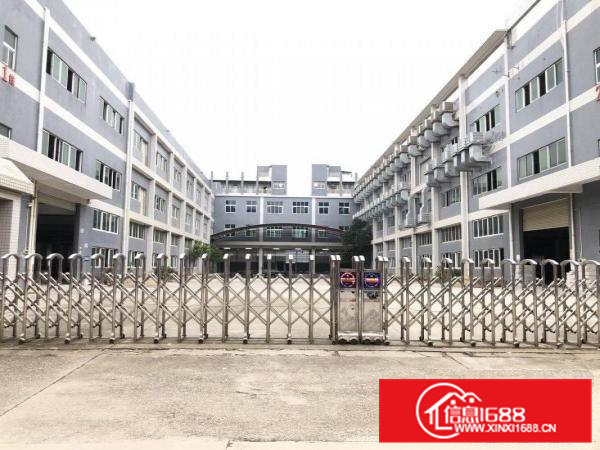 金凤凰一楼带牛角1100平方全新地坪漆适合所有行业