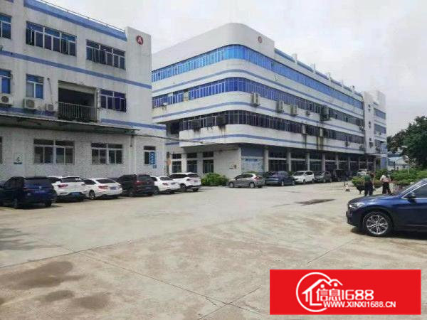 大岭山石大路旁原房东二楼750平方米招租，精装修