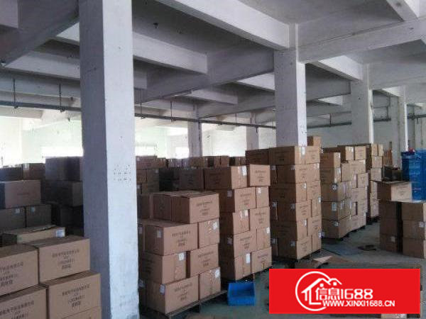 常平土塘新出房东厂房1000平米一楼