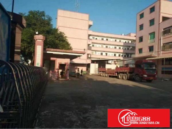 龙岗新生标准厂房一楼1200出租，可分租，适合五金，仓库