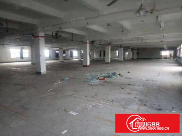 寮步新出原房东厂房一楼1000低价出租