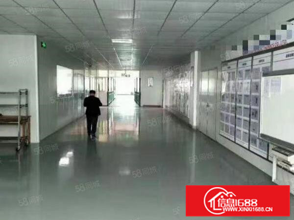 大朗镇现成装修1100平厂房出租