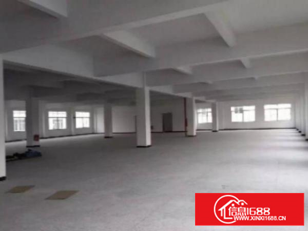 万江工业区标准一楼1000平方招租水电齐全五金加工福音