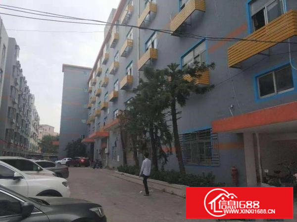 荷坳2楼花园式带装修厂房1785平可分租