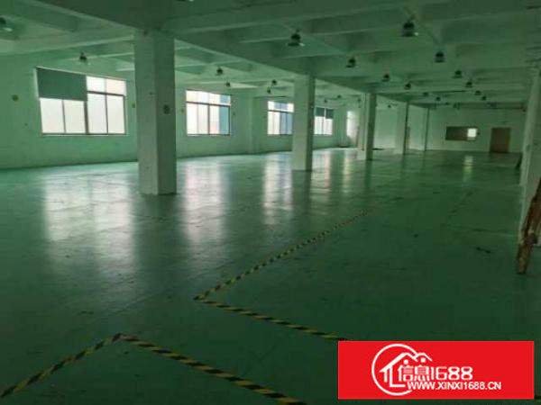 一手房源！交通便利！全新装修！业主出租！有意者一切皆好谈！！