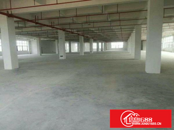 全新厂房1200平方