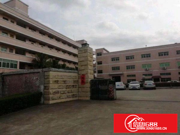 惠东县白花镇成熟工业区1楼1500,3楼1500出租