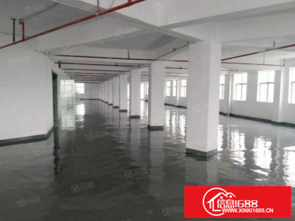 松岗产业园|小面积厂房特价出租|园区空地大|地理位置优越