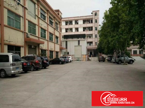 常平镇苏坑村新出标准一楼1400平米