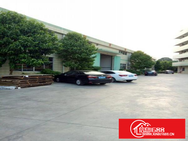 新圩独院钢结构厂房6500平整租分租