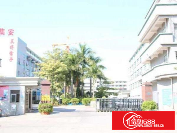 茶山镇花园式厂房，单层1500平方;环境优美，欢迎来电咨询