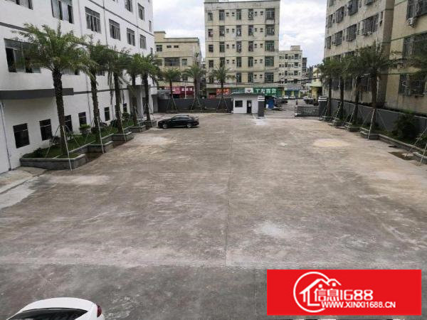 坑梓坪山坑梓中心位置独院厂房厂房11350平米