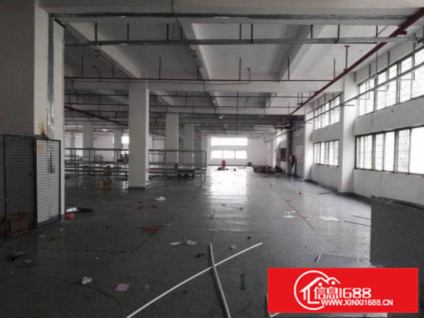 青皇西南新出独院2200平方厂房可以分租450平方