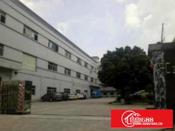 万江新出标准厂房一楼1000平方带办公室装修出租