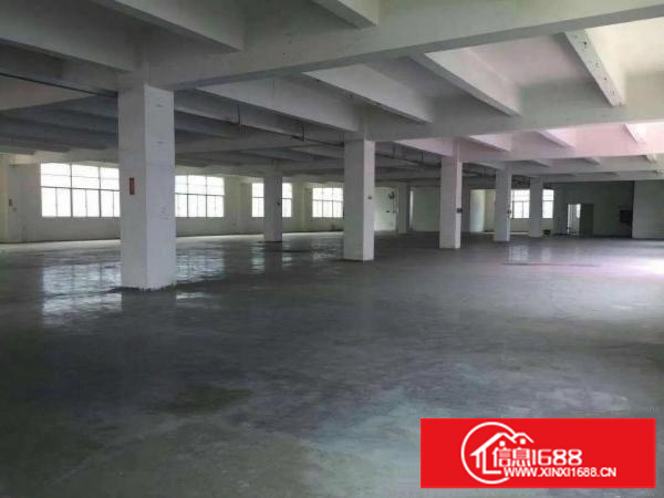 松岗罗田市场旁新出独院厂房10400平方大小分组