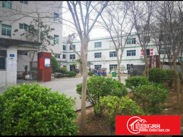 一楼420平方、250平方，15元。中介勿扰。