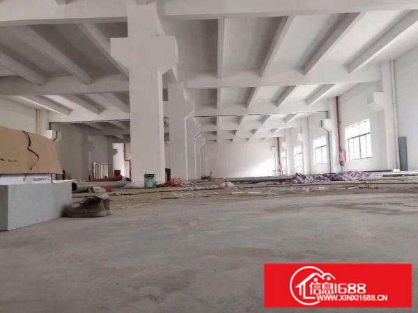 石排原房东分租一楼高6米