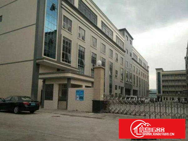 常平桥沥超靓独院厂房三楼1300平方带装修