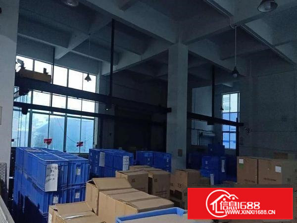 出租凤岗镇凤岗体育馆