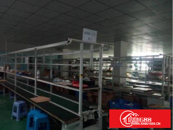 常平朗贝新出楼上1000平带装修厂房出租