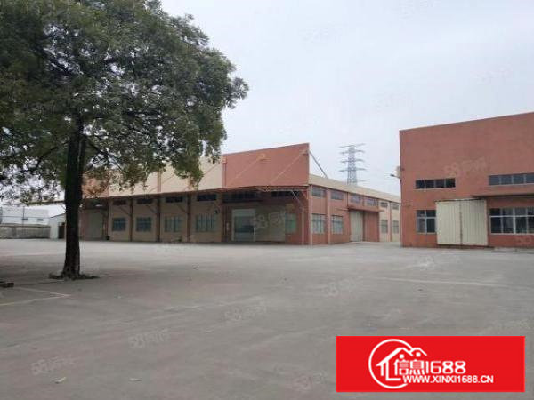 新出本地房东钢构独院15000方价格便宜滴水10米