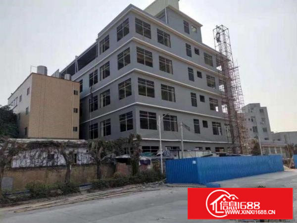 大岭山杨屋独栋工业厂房出租，大小面积可分，行业不限