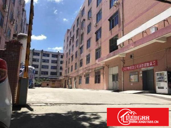 急租坪山碧岭1楼1088平高5米急租23