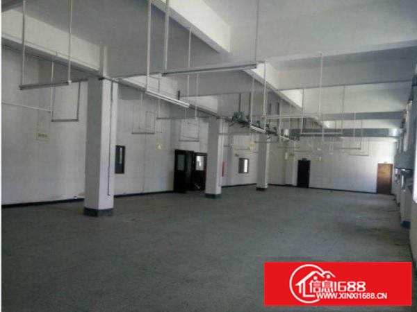 平湖新木村委原房东楼上800平方带精装修标准厂房出租