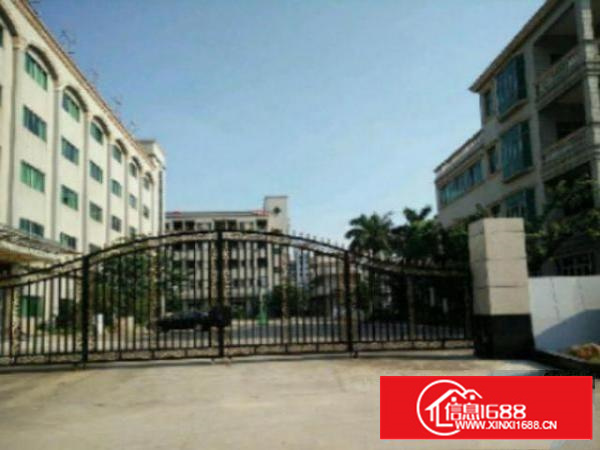 万江简沙洲标准厂房楼上三楼2000平方带消防喷淋出租