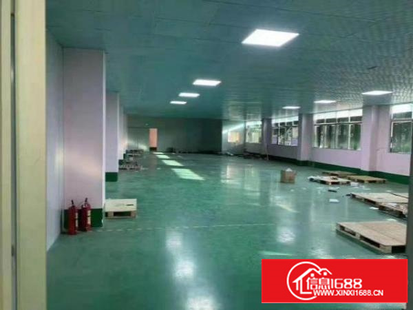 出租石碣镇石碣城区600平方厂房，价格便宜可分隔