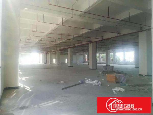 石排原房东独门独院3500平方厂房出租带消防喷淋