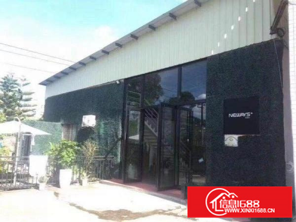 龙岗单一层钢构1200平高7米摄影办公精装修厂房出租