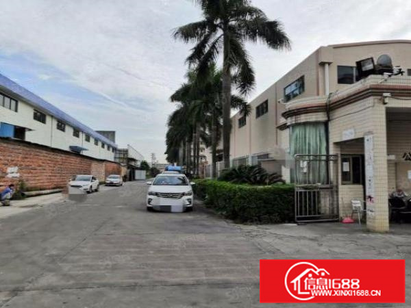 佛山高明新出原房东滴水10米17100，带氧化牌，大小可分租