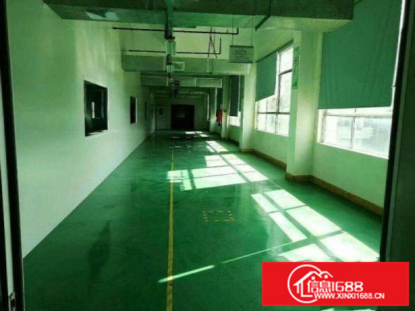 秋长超靚1800平电子厂房有消防现成现办公室
