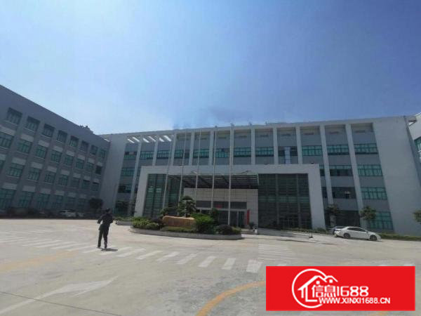 寮步缪边带豪华装修标准独院厂房一楼1000平方出租