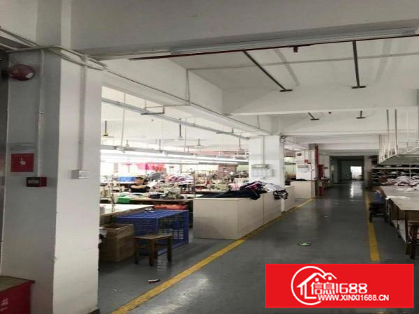 分租盐田沙头角服装厂房