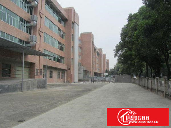 坪山江边村标准厂房楼上980平方带地坪漆